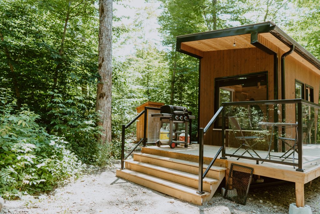 Pine Cabin