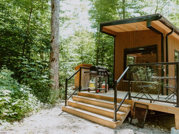 Pine Cabin