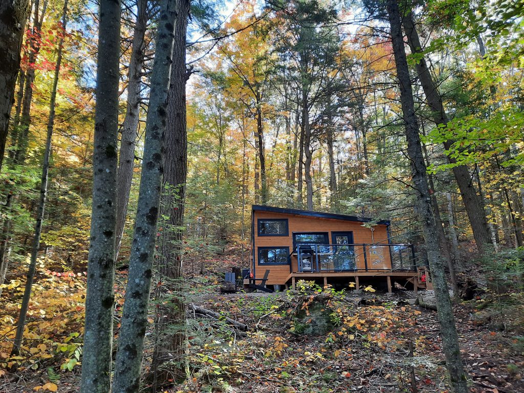 Willow Cabin