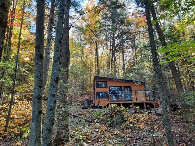 Willow Cabin