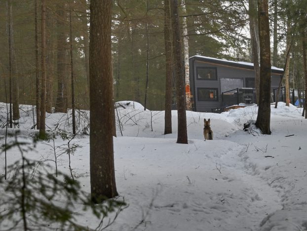 Big Rock Cabin