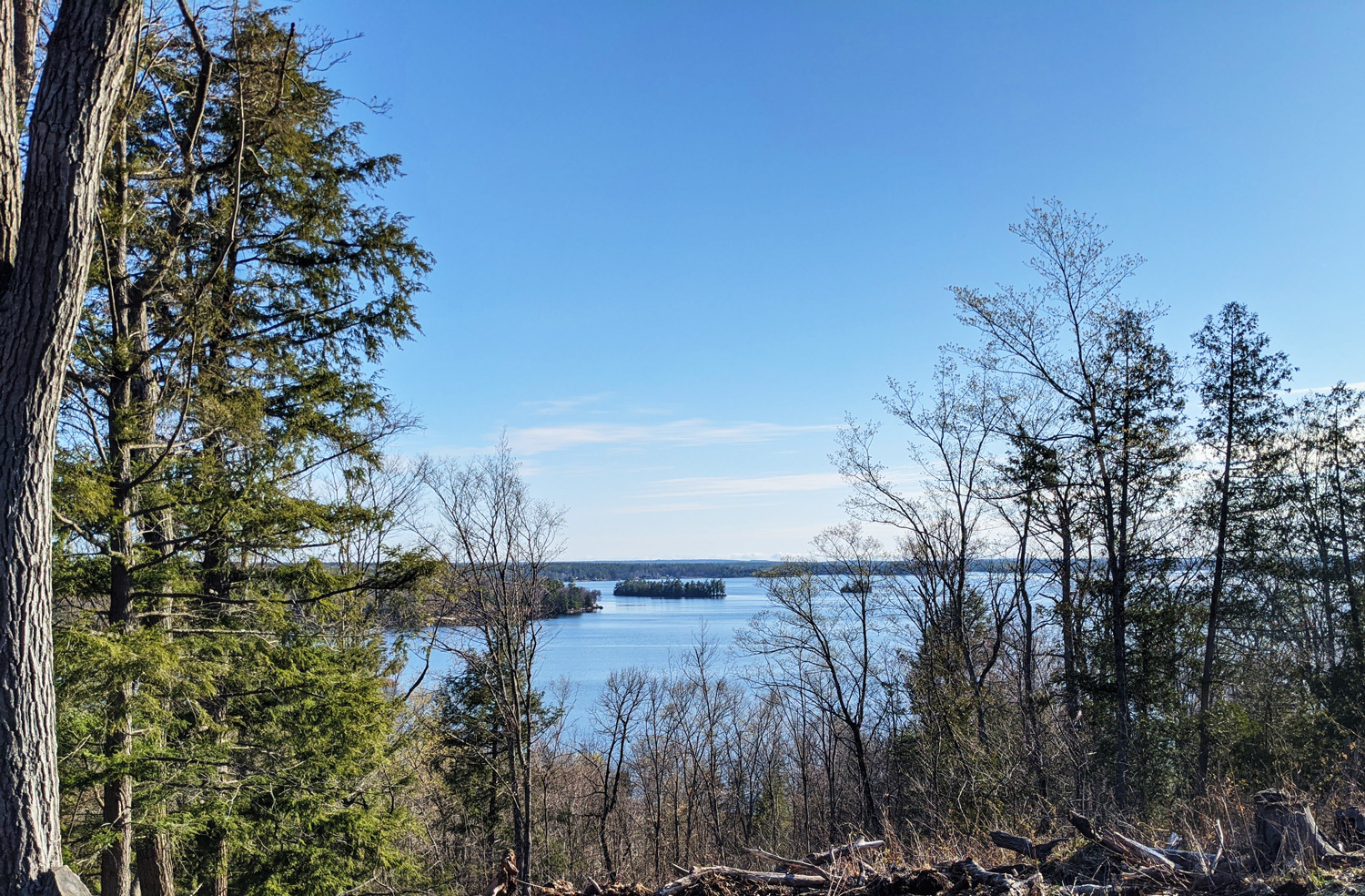 Starling Cabin View From Deck