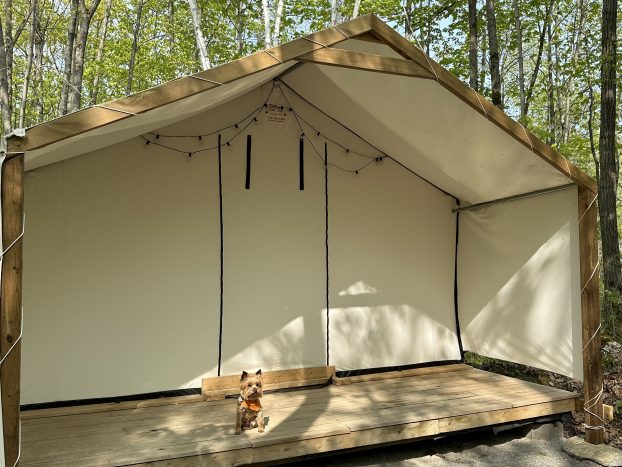 Senna Tent