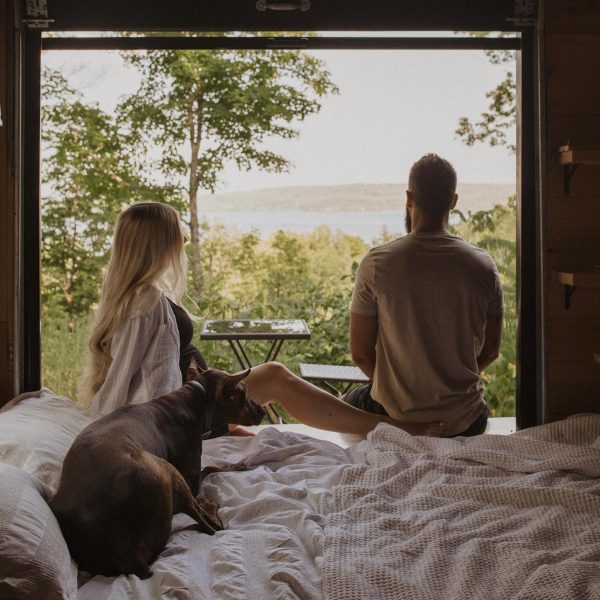 Pet-friendly Tiny Cabin Adventures
