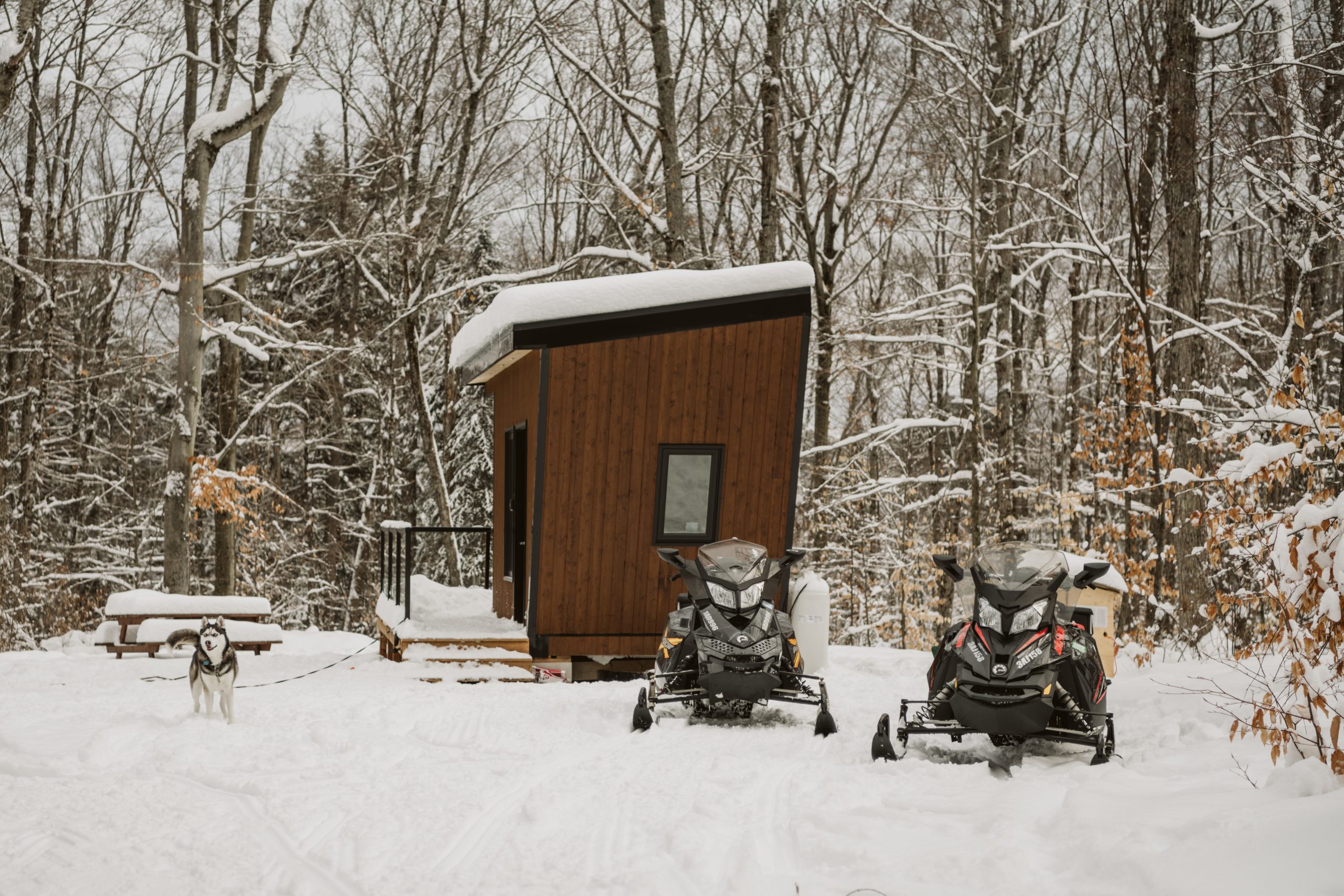 Our Haliburton Winter Adventure Guide