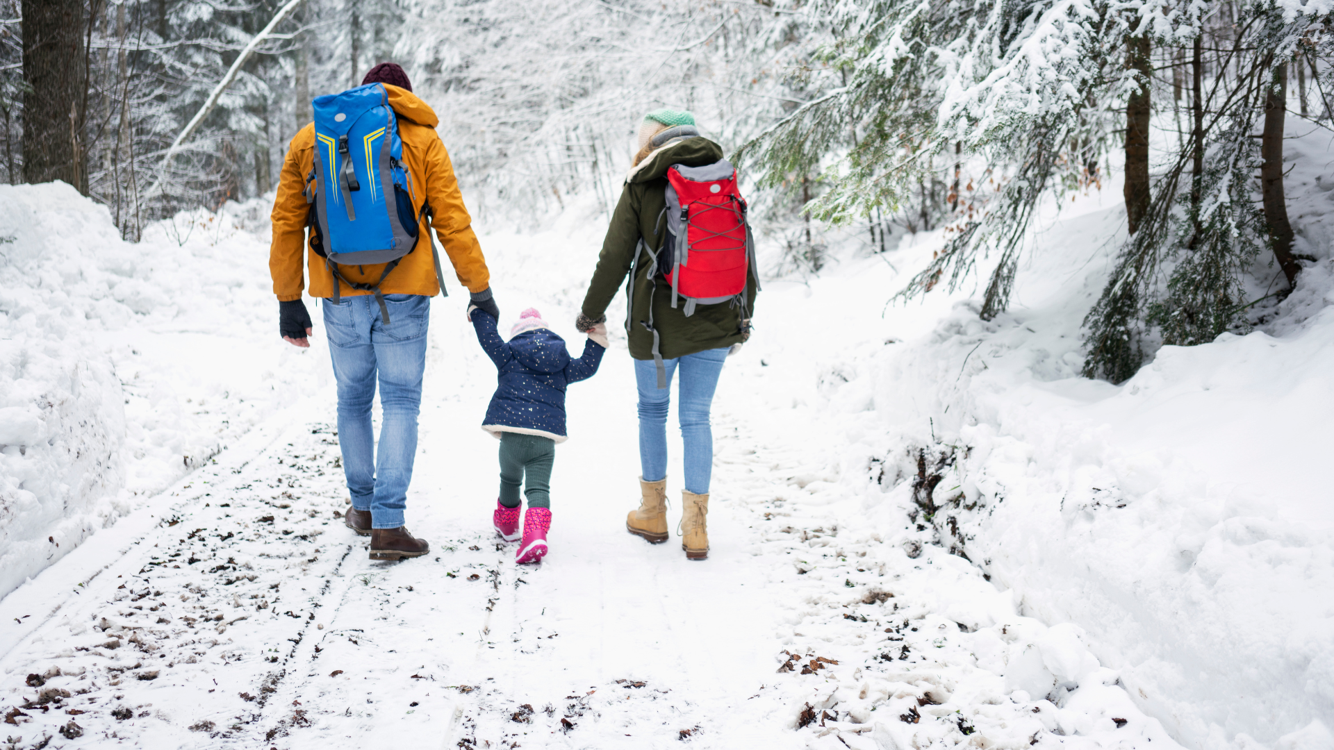 Kid-Friendly Tiny Cabin Adventures