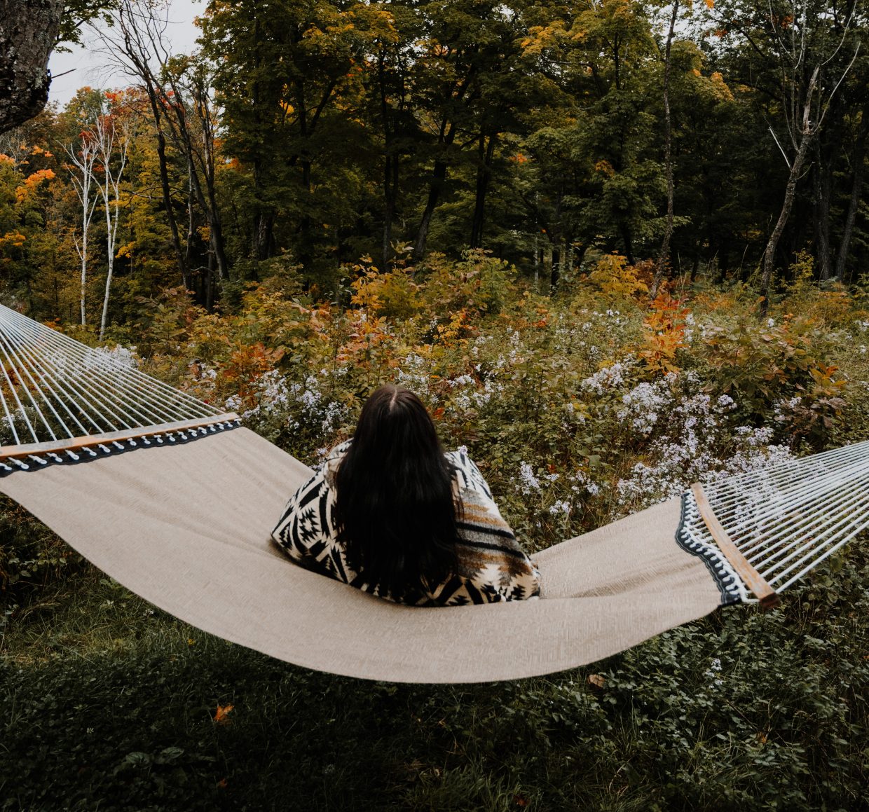 Escape to Serenity: Unwinding in Muskingum County's State Parks