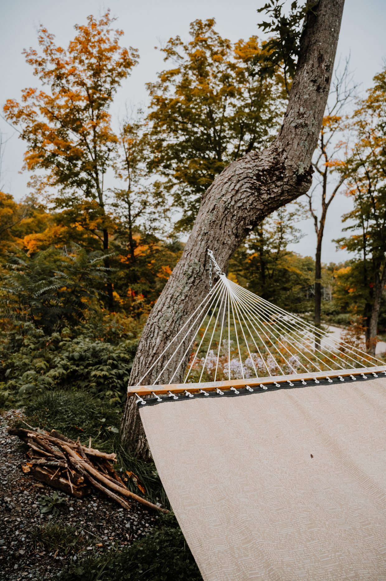 Escape To Serenity: Unwind At New Hampshire’s Jeremy Mill Natural Area