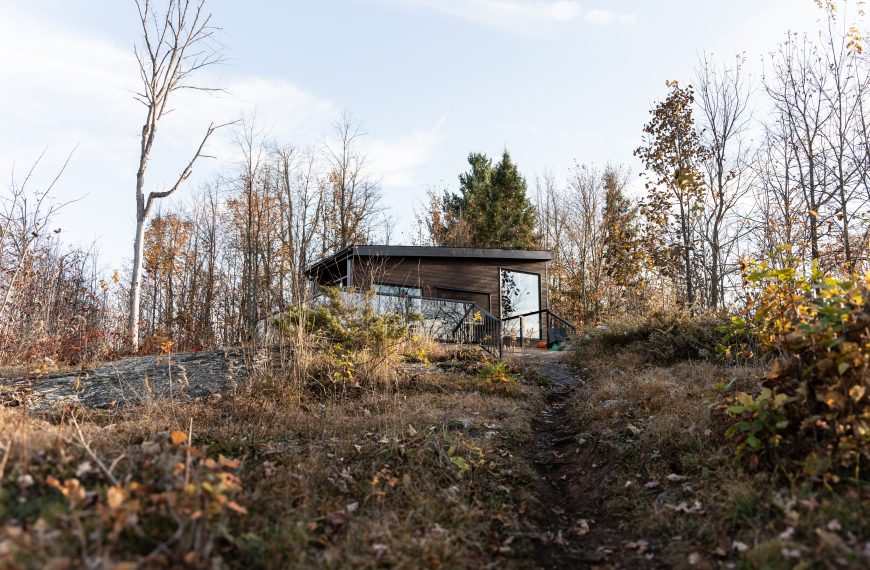 Your Guide to Embracing Stick Season