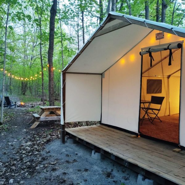 Camping Showdown