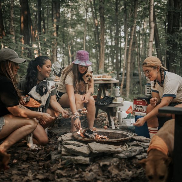 Summer’s Most Anticipated Books: Author Q&A