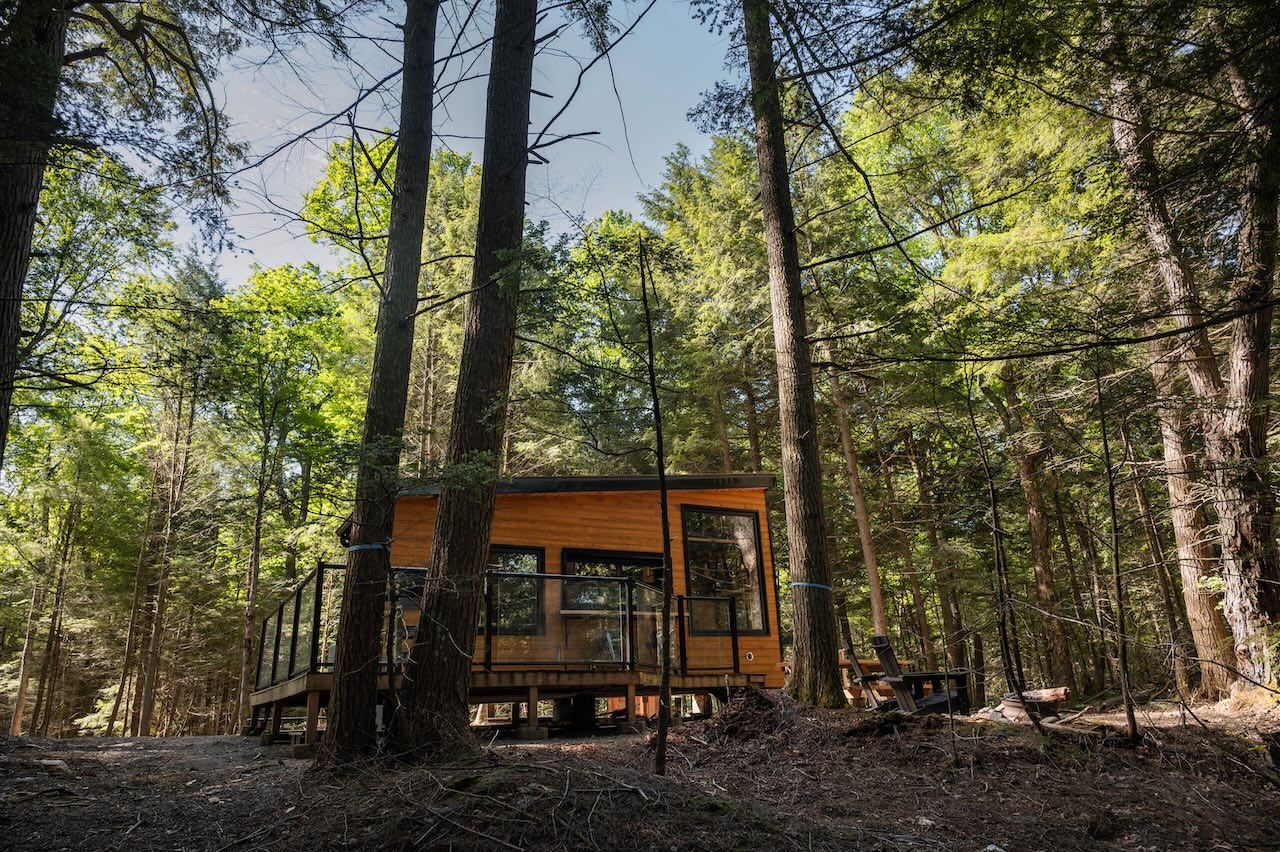 Quasi Cabin Exterior Summer