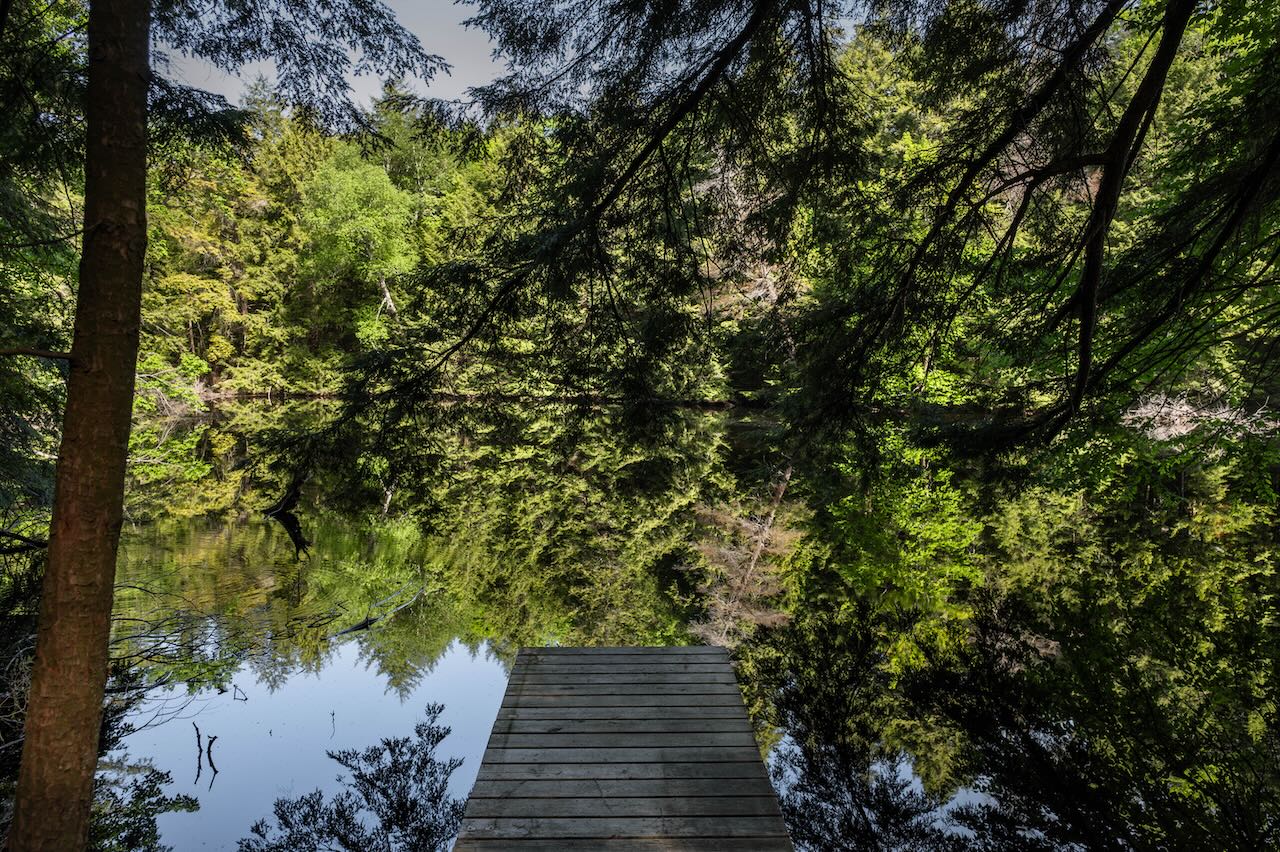 Quasi Cabin Dock Lake View