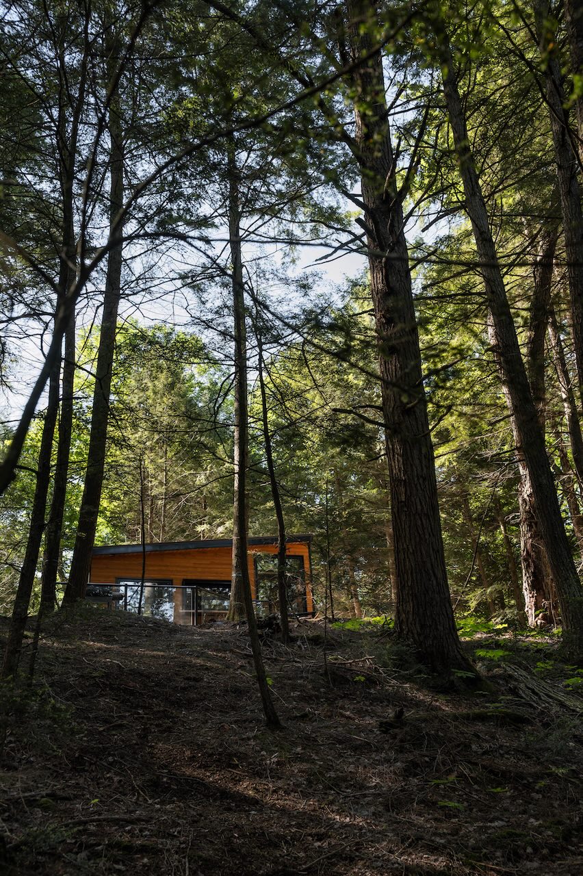 Quasi Cabin View From Lake