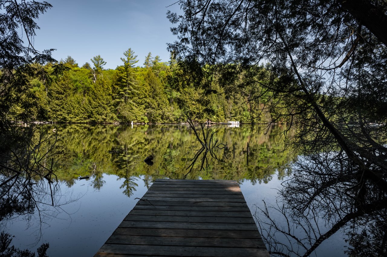 Willow Cabin Summer Dock Lake View
