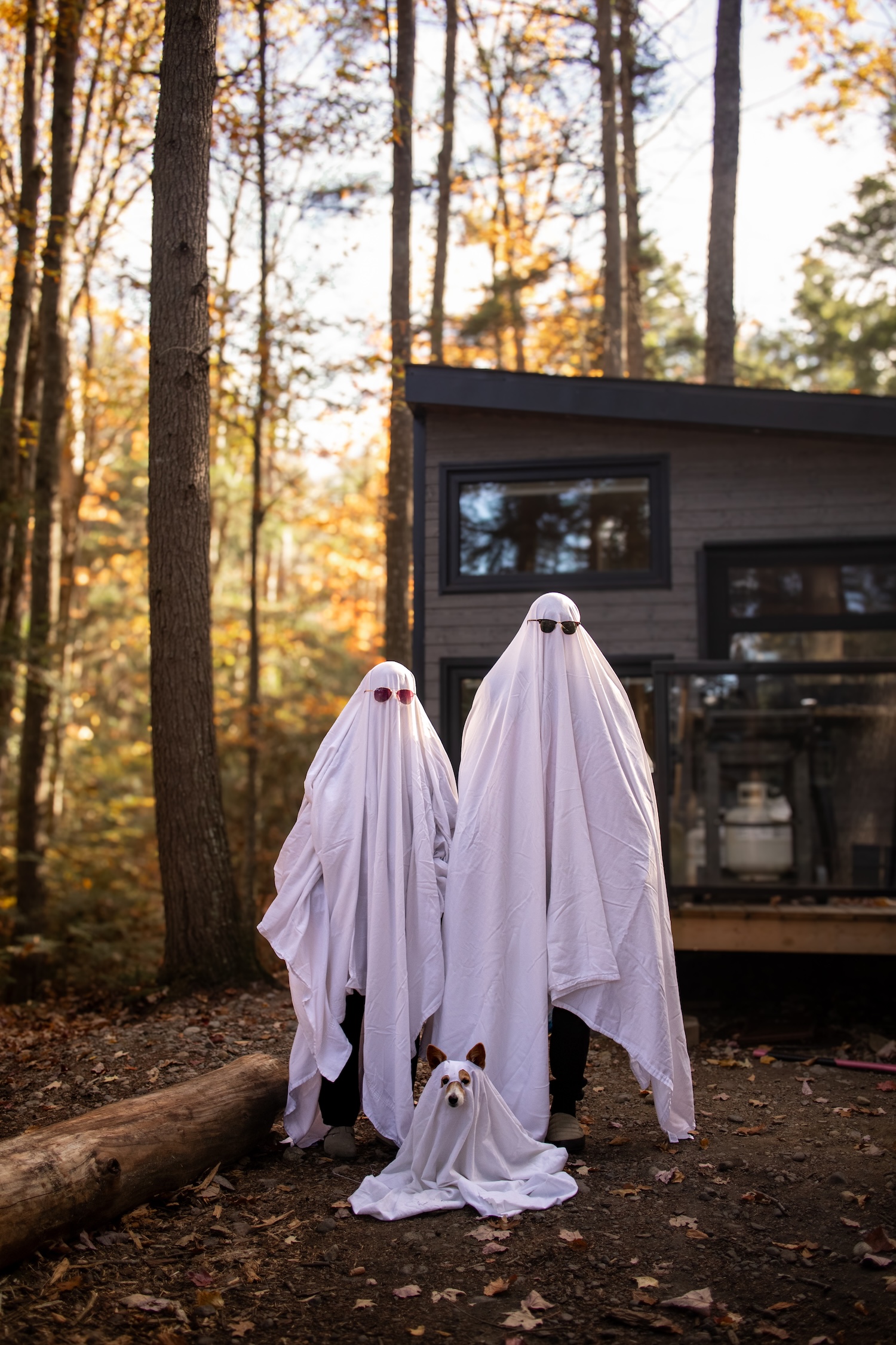 Halloween Sale